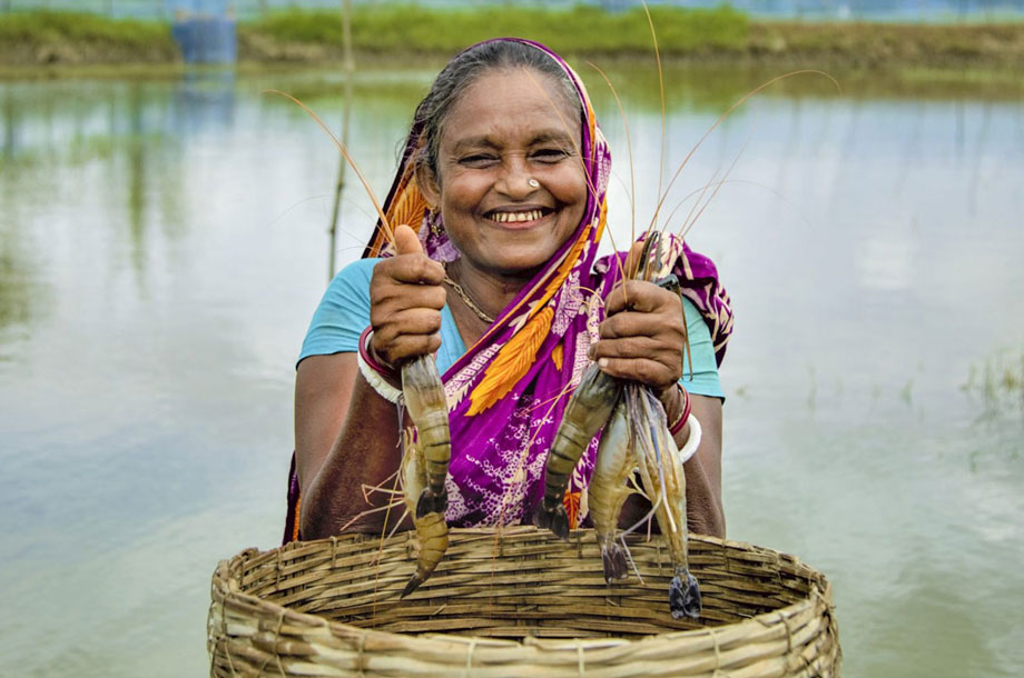 Microenterprise Developed (MED) Programme