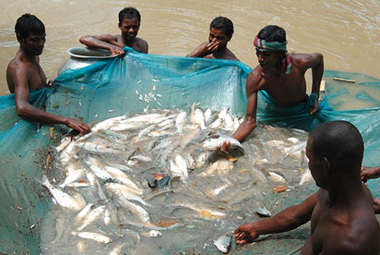 Fisheries