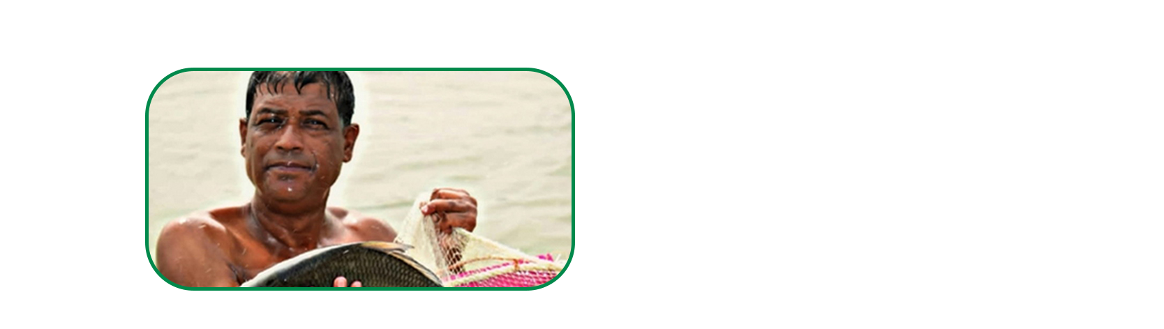 Monirul Islam, a fish farmer from Godagari in northern Bangladesh - an Ashrai success story
